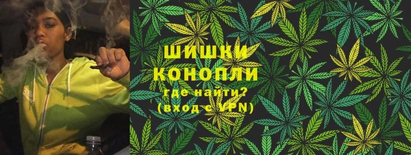 дживик Абаза