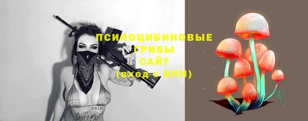 таблы Алзамай