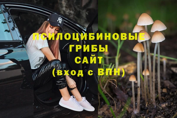 амф Абдулино