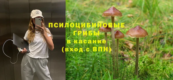 амф Абдулино