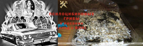 кокаин премиум Алексин