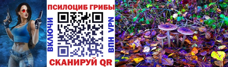 darknet Telegram  Кострома  Псилоцибиновые грибы мухоморы  купить закладку 