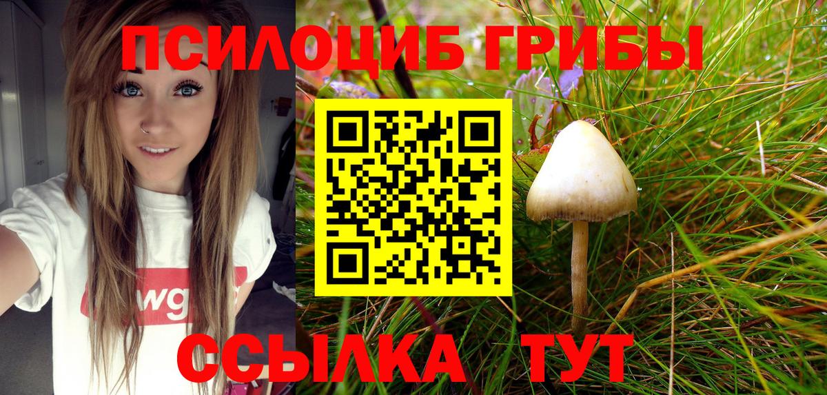 Псилоцибиновые грибы Psilocybe  Вход с VPN  Кострома  Галлюциногенные грибы ЛСД 